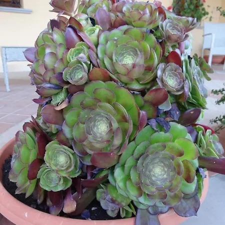Agriturismo Fieri Farm stay *