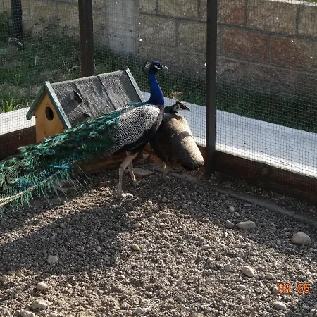 Fieri Gospodarstwo agroturystyczne *