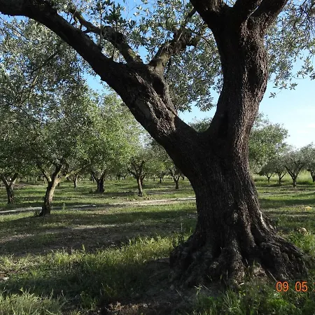 Agriturismo Fieri Botricello