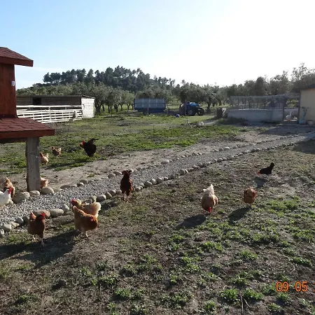 Agriturismo Fieri *