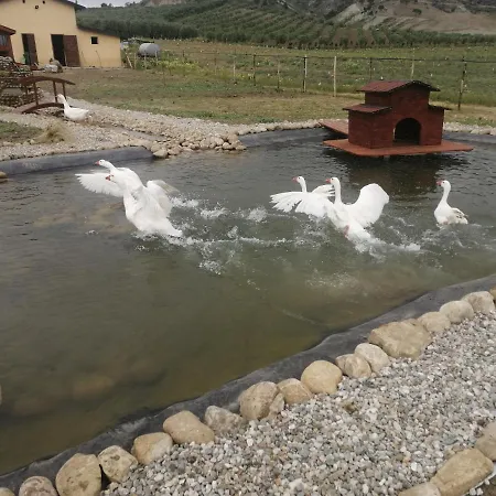 Fieri ファームステイ *