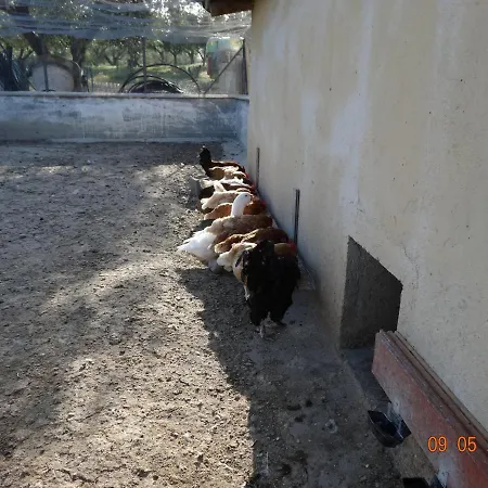 ファームステイ Fieri