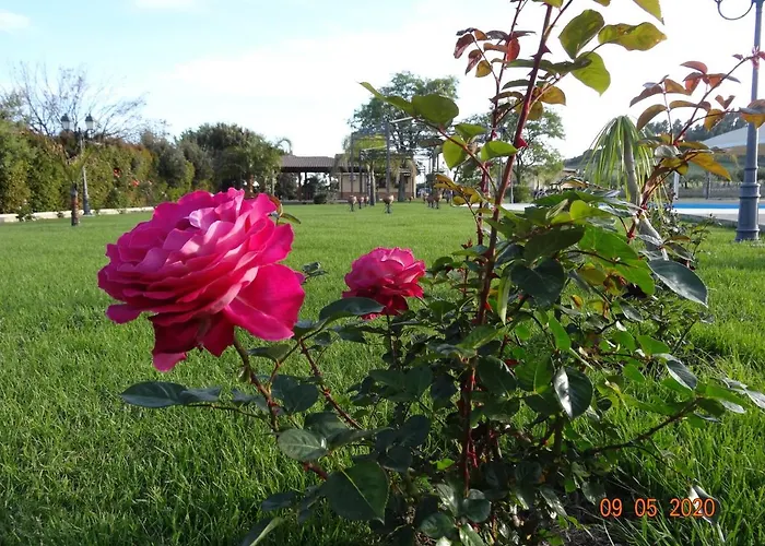 农家乐 Fieri 博特里塞罗