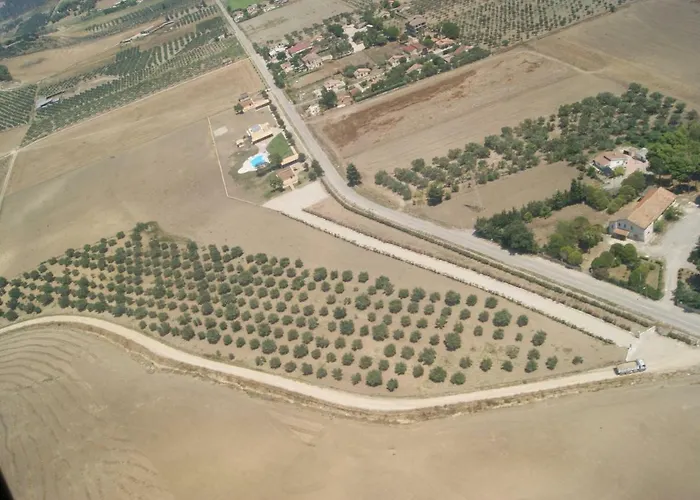 Fieri 博特里塞罗