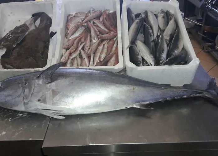 Fieri * 博特里塞罗